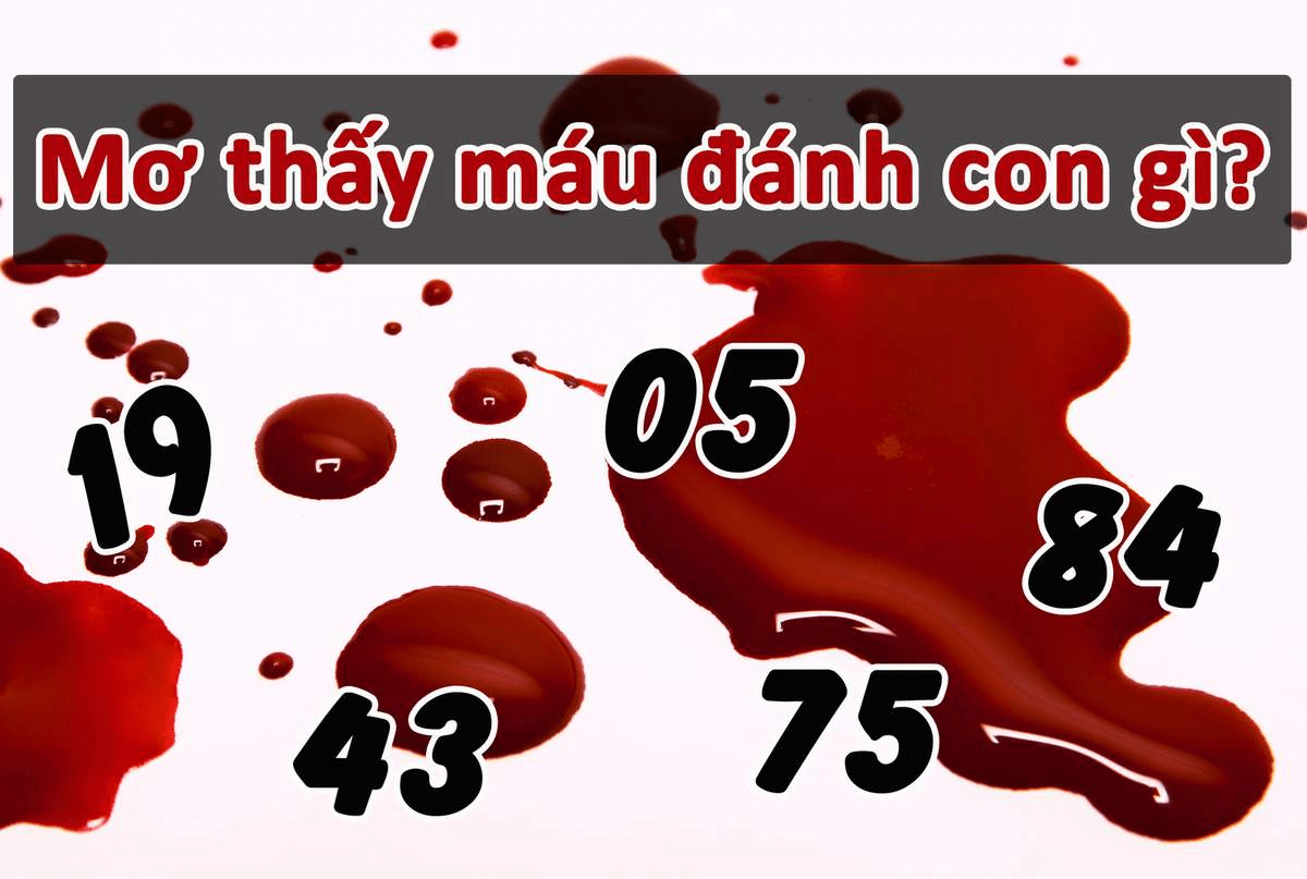 Mơ thấy chảy máu giải mã ra con số đẹp Mơ thấy chảy máu giải mã ra con số đẹp